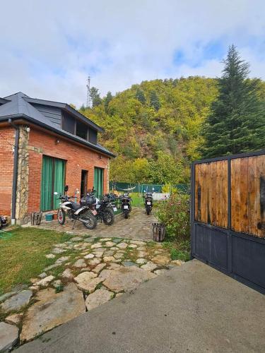 Woodstar ტყის ვარსკვლავი — Ambrolauri — photo 3