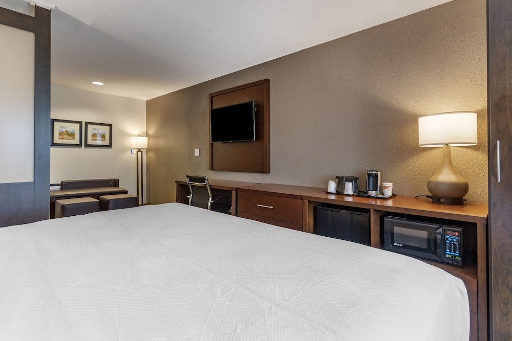 Comfort Inn & Suites Aztec Farmington Area - photo 3