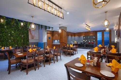 Nest By TreeHouse Stamp Amritsar