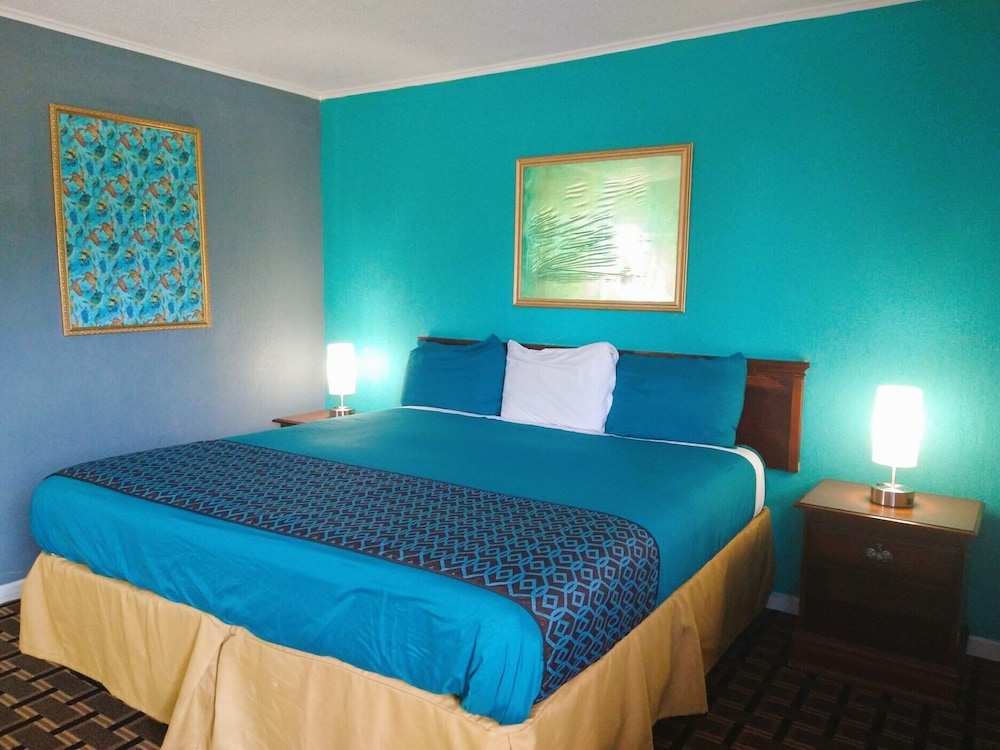Grand View Plaza Inn & Suites - photo 63