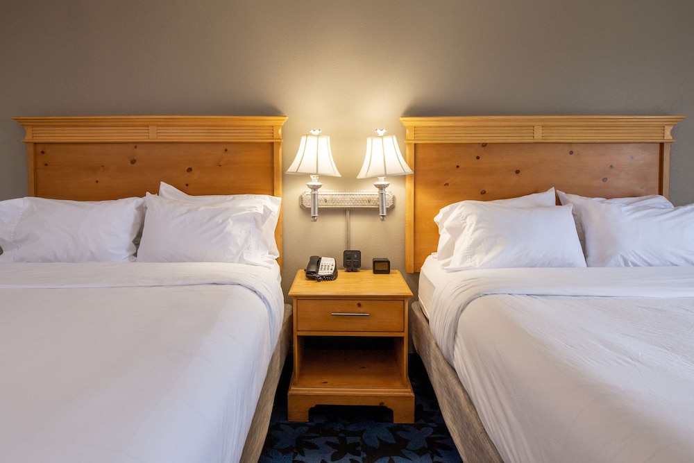 Hampton Inn & Suites Jacksonville Deerwood Park - photo 20