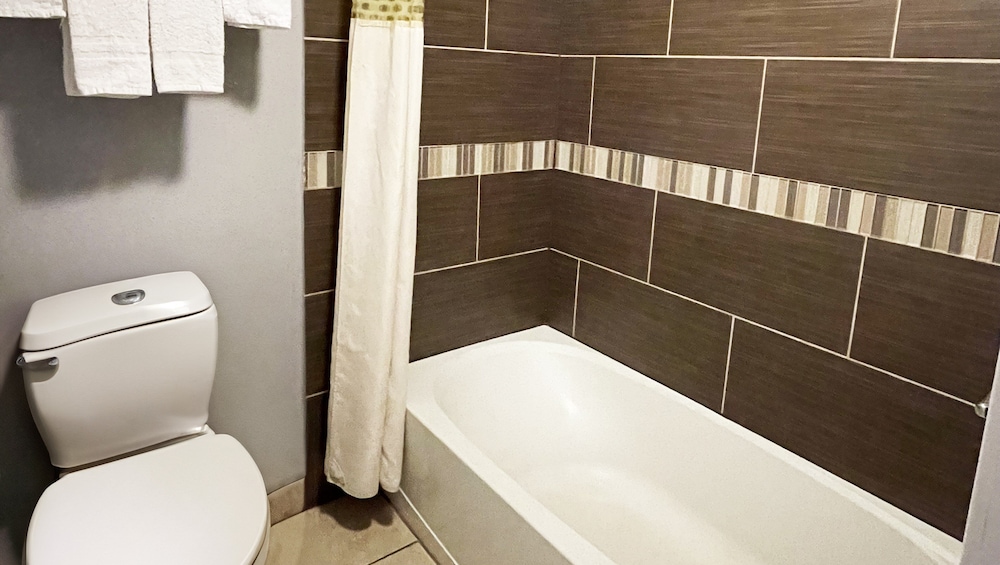 Royal Inn Linden - photo 11