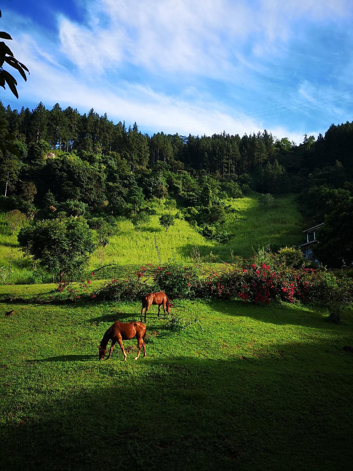 Yale Kandy Park in Kandy, Sri Lanka