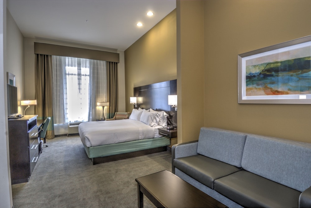 Holiday Inn Express & Suites Austin South by IHG - photo 26