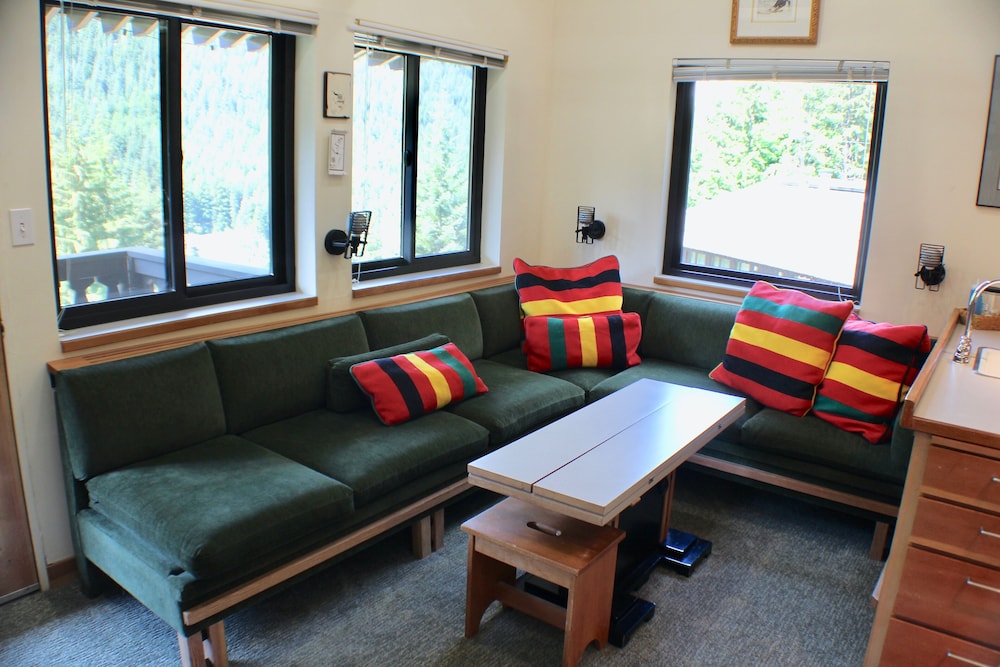 Crystal Chalets Condominiums at Crystal Mountain Ski Resort - photo 102