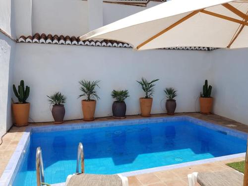 Private pool in Lecrin 30 min Granada beach pet-friendly hotel Albunuelas
