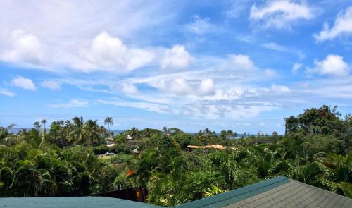Kalani Hawaii Private Lodging - photo 33