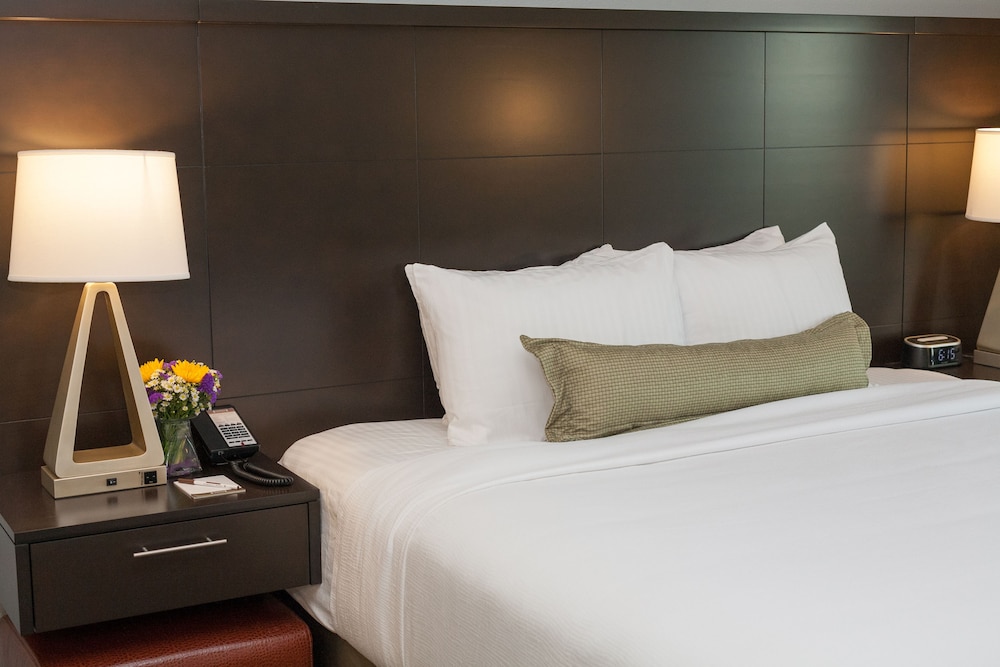 Staybridge Suites Austin North Parmer Lane by IHG - photo 14