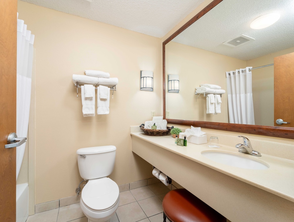 MCM Elegante Lodge & Suites Ruidoso - photo 16