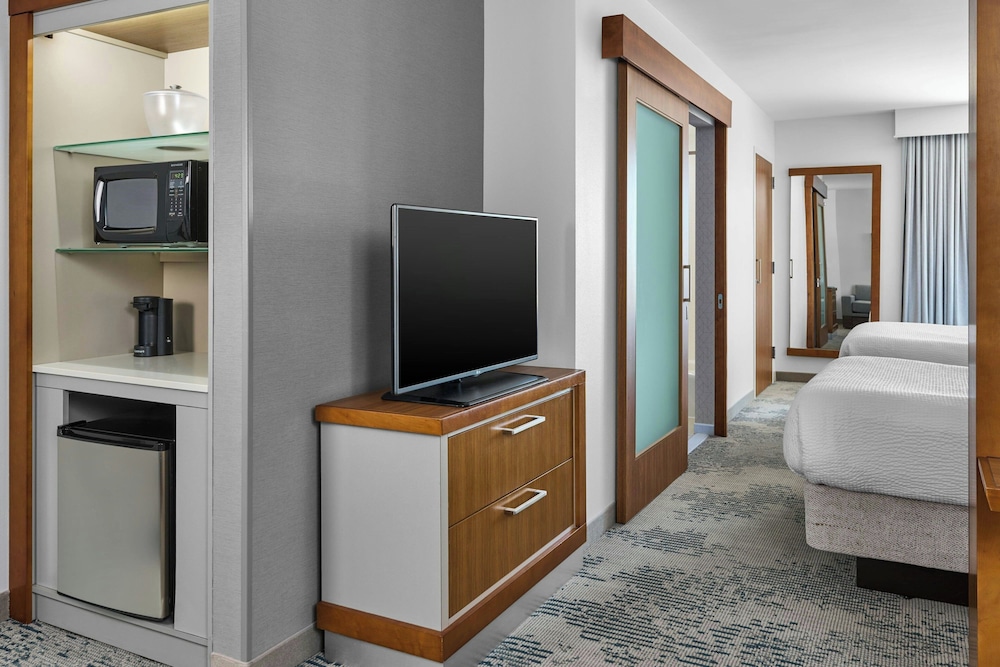 SpringHill Suites Lumberton - photo 4