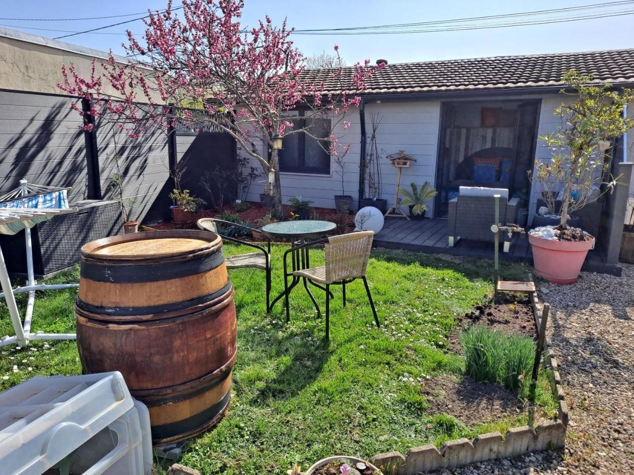 Grain de Folie — Beaune — photo 4
