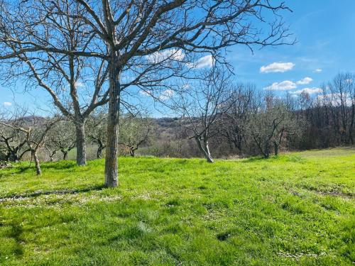 Casa vacanze MaMe — Ferrazzano — photo 4