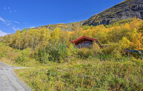 Awesome Home In Hemsedal With Wifi — 4-Star Luxury Hotel in Hemsedal, Norway