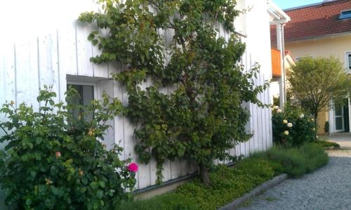Ferienwohnung Schuster — Altoetting — photo 3