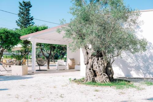 Tenuta Pizzi — hotel in San Pietro Vernotico