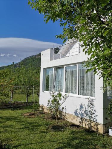 Schmidt in Podgorica, Montenegro