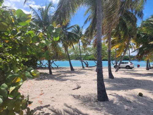 Penthouse Apartment with Bay and Mountain Views Rooftop BBQ AC Fast WiFi Near Saladilla Beach Barahona — 4-Star Luxury Hotel in Santa Cruz De Barahona, Dominican Republic
