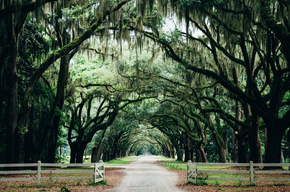 Hotel Indigo Savannah Historic District by IHG - photo 80