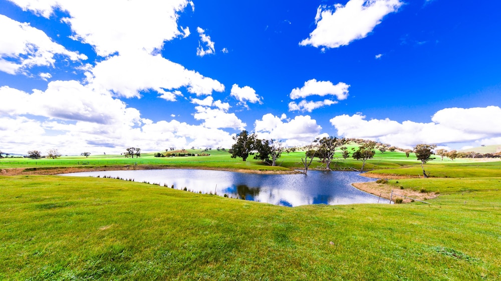 Hillview Farmstay — hotel in Gundagai