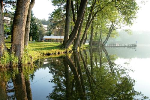 Kormoran - last minute hotel in Olsztyn