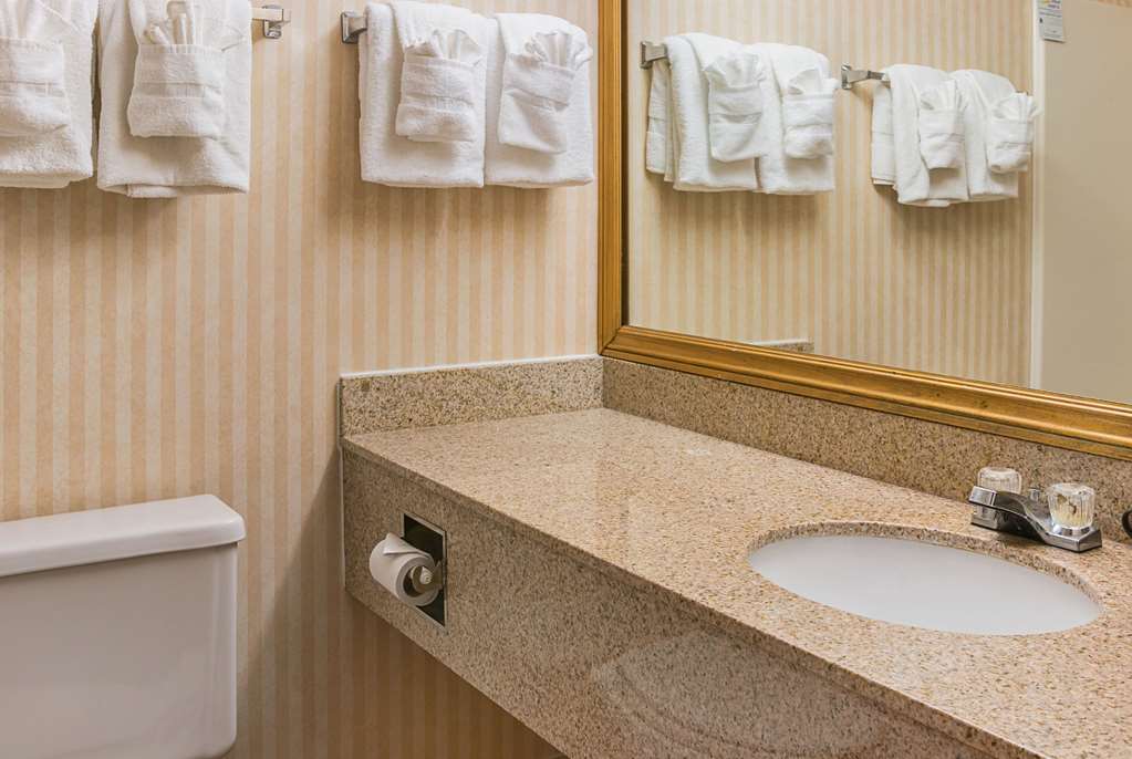 Quality Inn & Suites Detroit Metro Airport - photo 24