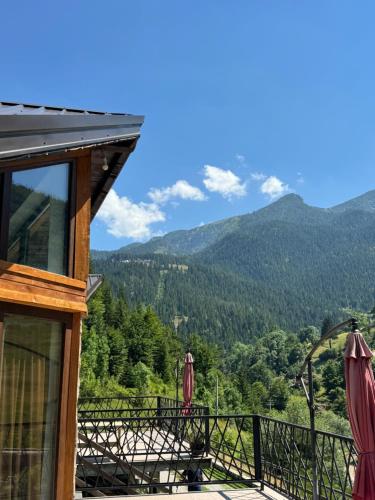 Fisi Resort — Pec — photo 4