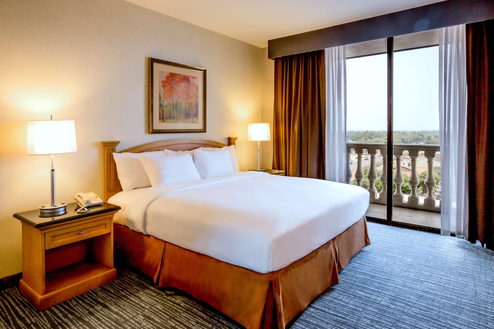 DoubleTree Suites by Hilton Hotel McAllen - photo 10