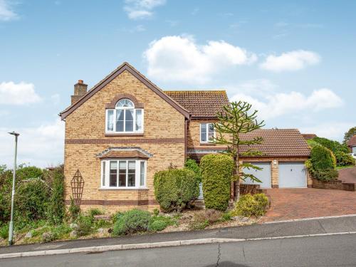 Squirrels in Teignmouth, United Kingdom