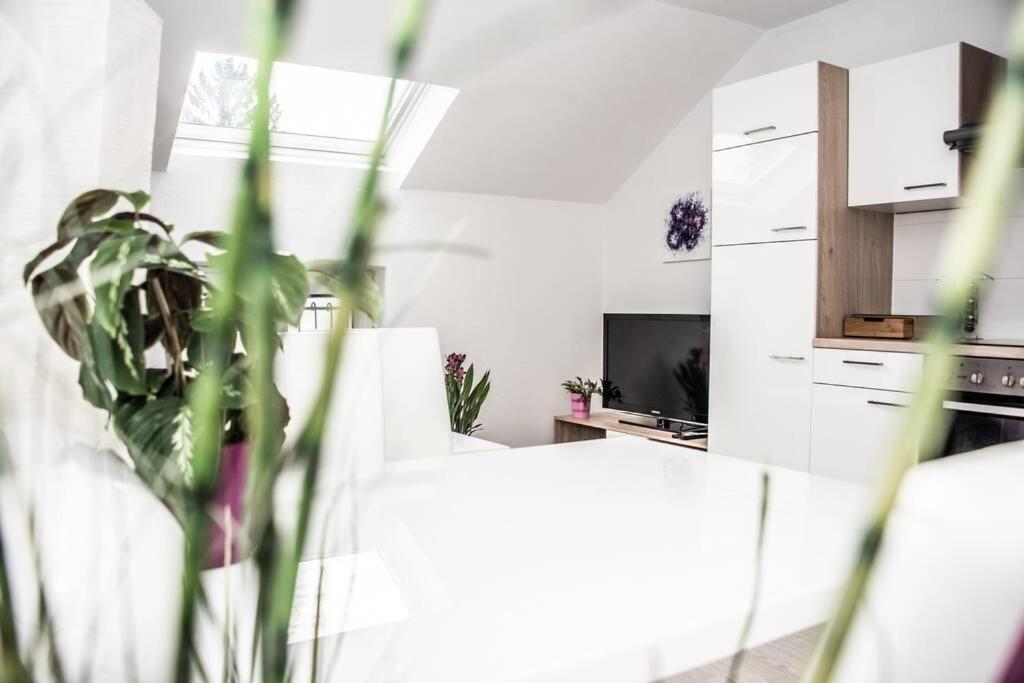 Apartment Pouringraz Fur Kunst Und Tennisliebhaber — 4-Star Luxury Hotel in Graz, Austria