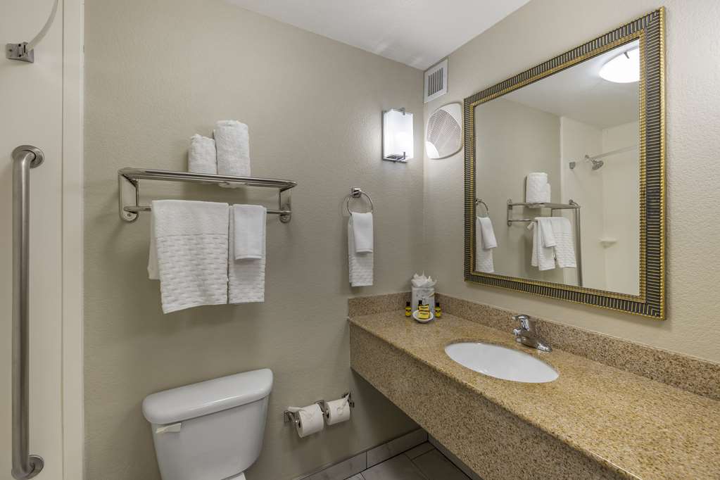 Best Western Plus Henderson Hotel - photo 21