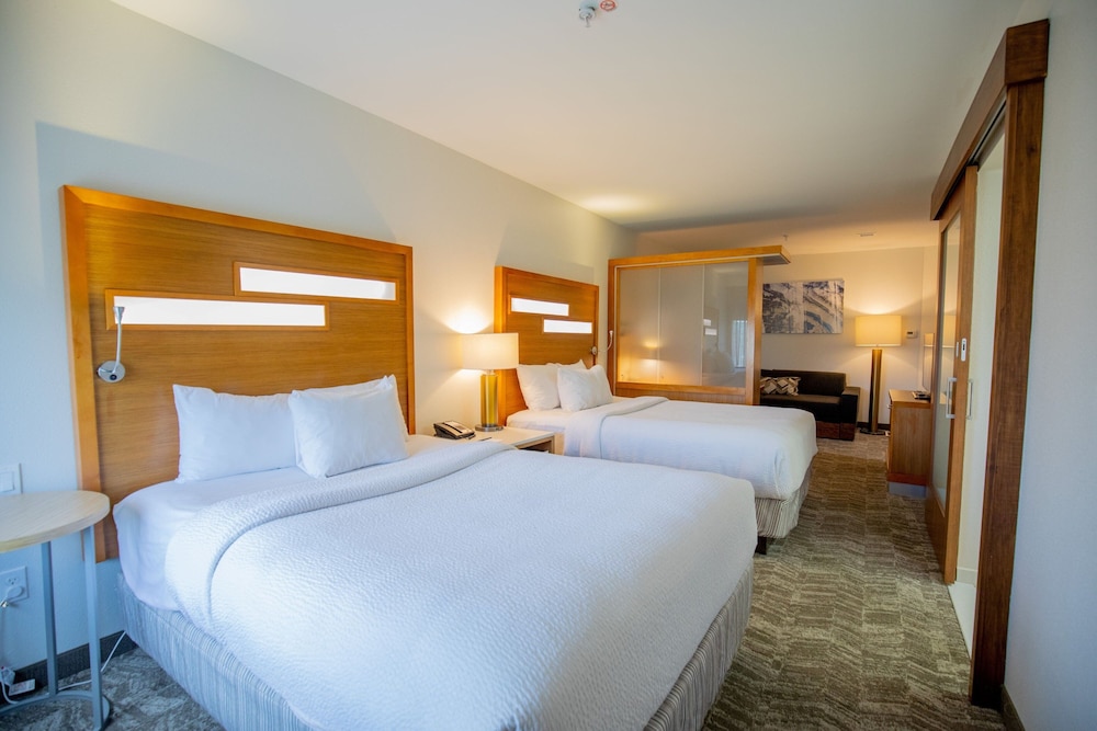 SpringHill Suites by Marriott Baton Rouge Gonzales - photo 14