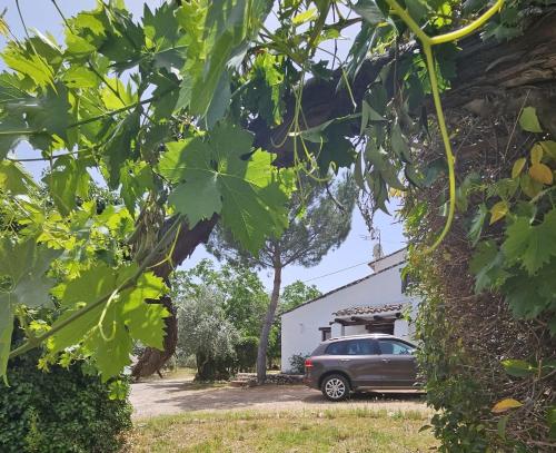 Cortijo Del Cura — Segura De La Sierra
