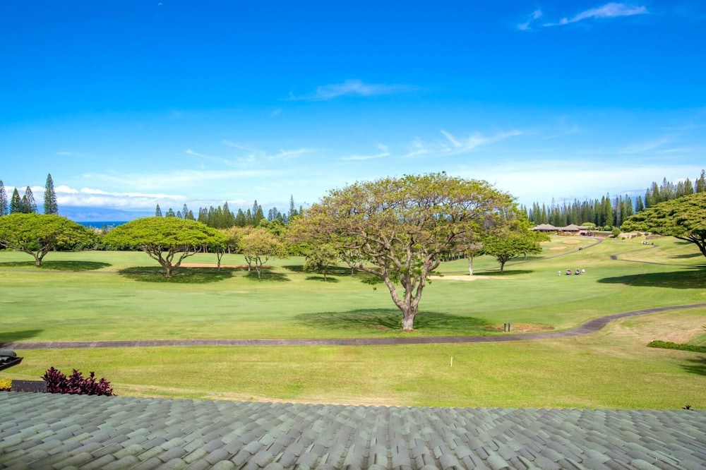 K B M Resorts KGV 16T4 Beautiful 1Bd sweeping ocean views remodeled oversized layout - photo 15
