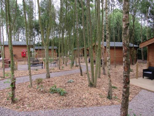 Riddings Wood lodges in Alfreton, United Kingdom