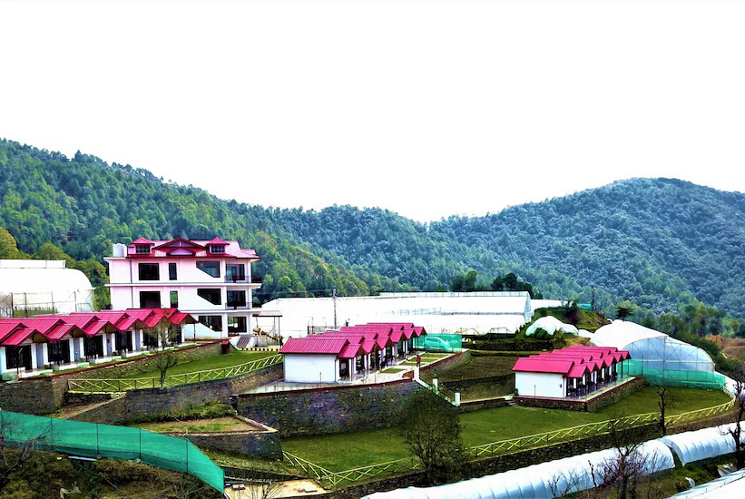 Resort Extreme Village — Shimla — photo 3