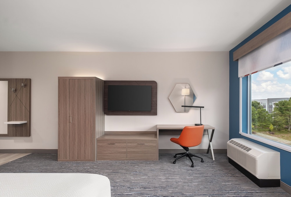 Holiday Inn Express & Suites Buford Mall of Georgia by IHG - photo 6
