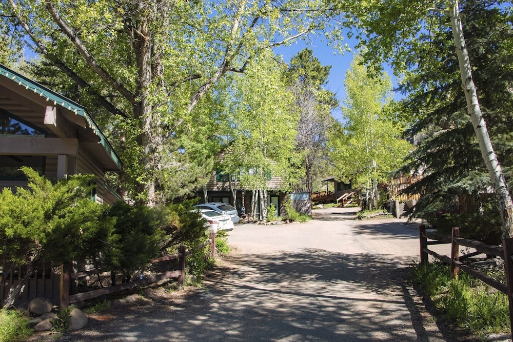 Sunnyside Knoll: 14 Studio - photo 9