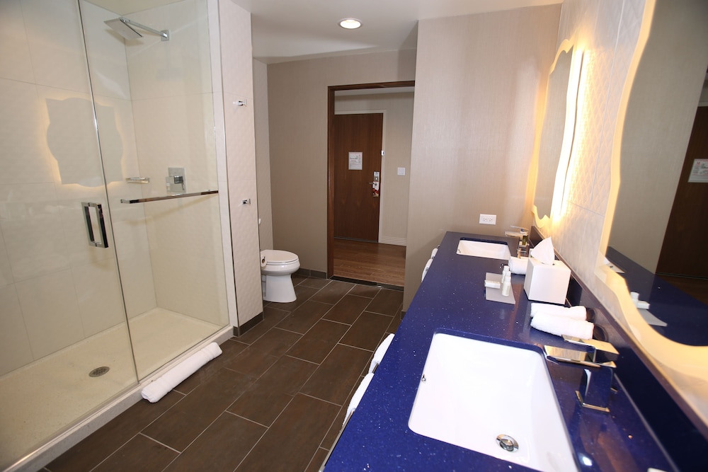 Hotel Indigo Naperville Riverwalk by IHG - photo 40