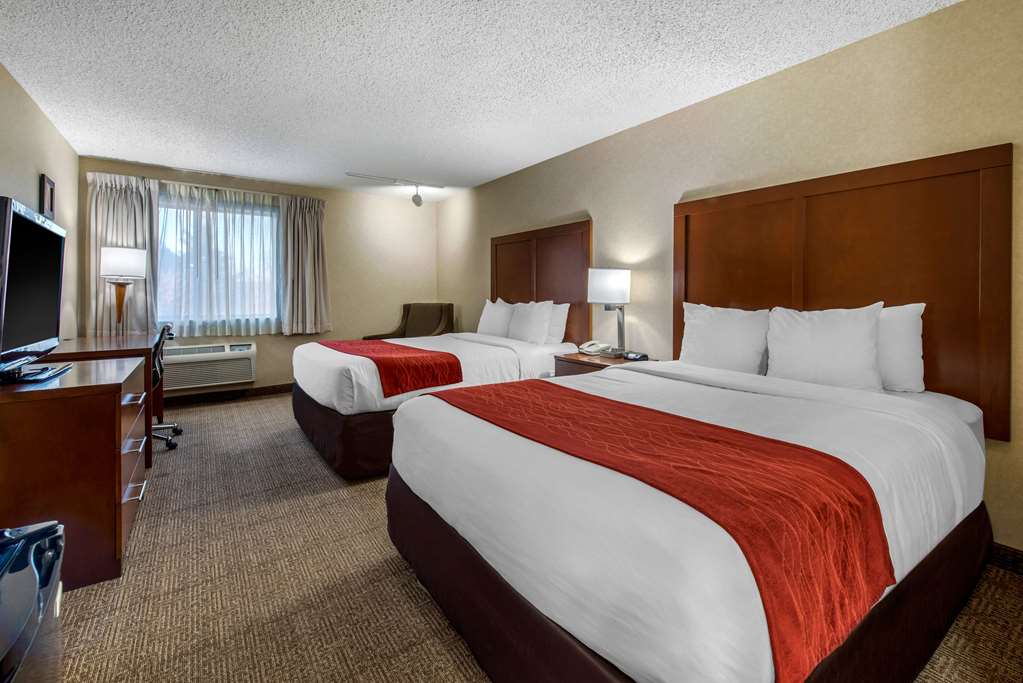 Comfort Inn Denver Southeast Area - photo 13