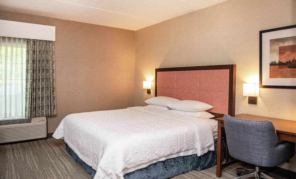Hampton Inn & Suites Rochester Victor - photo 11