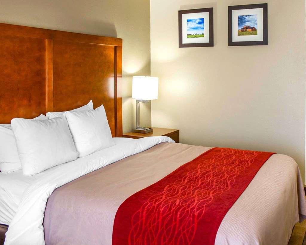 Comfort Inn & Suites Coralville Iowa City near Iowa River Landing - photo 14