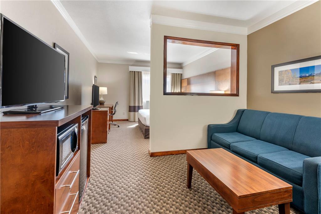 Comfort Inn & Suites Durango - photo 22