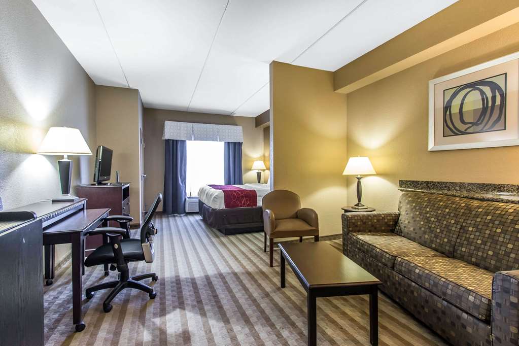 Comfort Suites Smyrna Nashville Area - photo 14