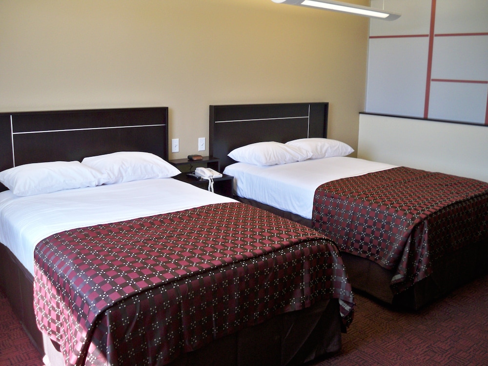 Red Roof Inn & Suites Beaumont - photo 4