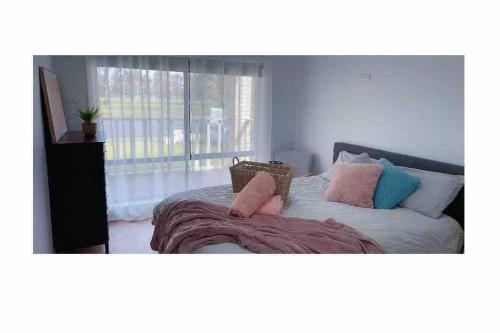 Pet friendly home in Albury — Lavington — photo 2