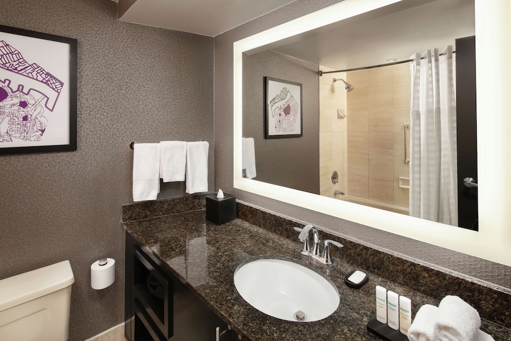 Embassy Suites by Hilton Crystal City National Airport - photo 30