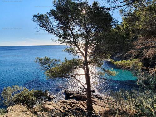 Mas Provencale a Cavalaire Sur Mer Avec Acces Direct a la Mer — 4-Star Luxury Hotel in Cavalaire-Sur-Mer, France