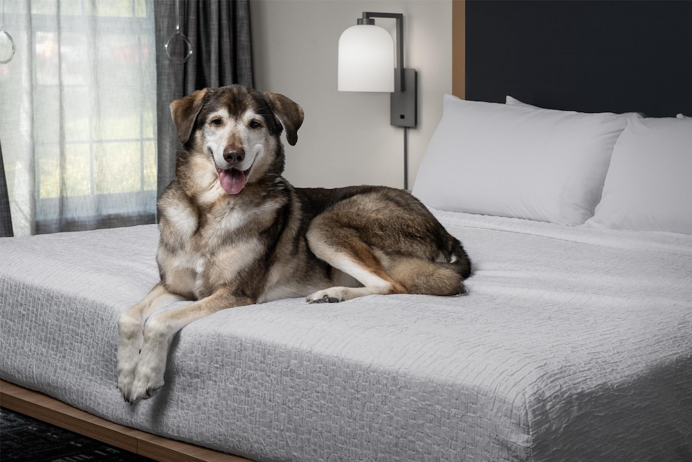 Homewood Suites by Hilton Vancouver Portland - photo 5