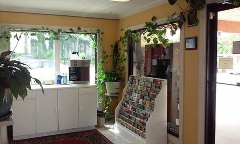 Summer Breeze Motel - photo 4
