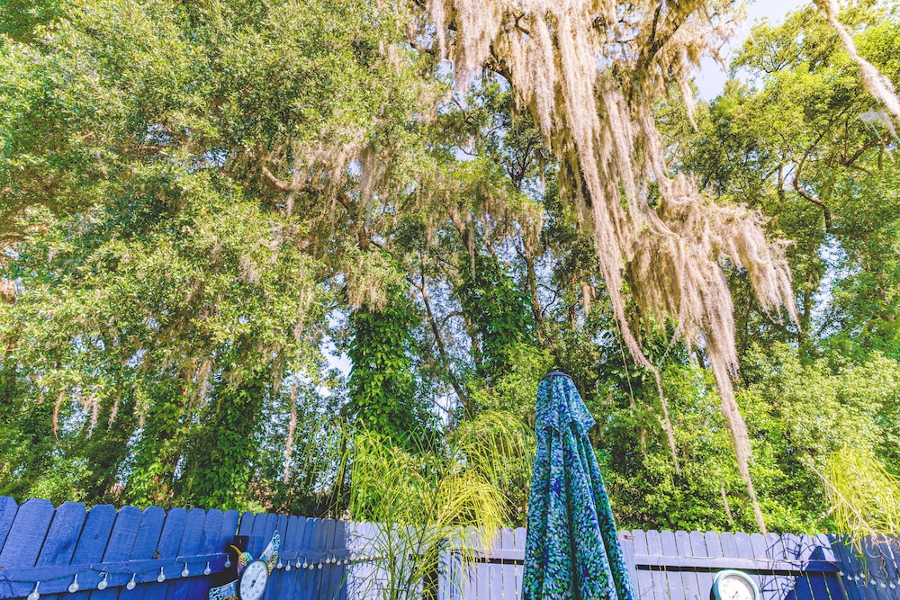 The Estate at Mount Dora - photo 108